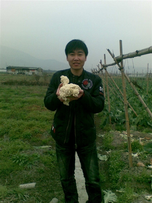 小毒